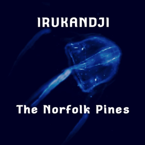 Irukandji