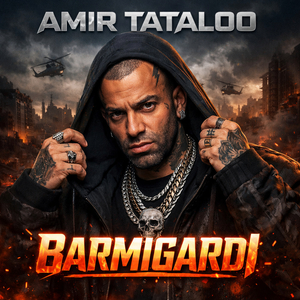 Barmigardi (Remix)