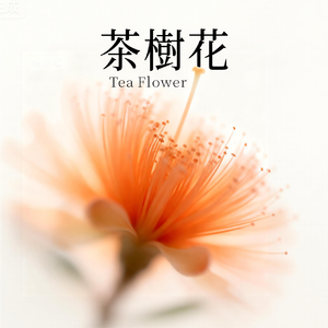 茶树花
