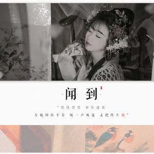 闻到（《为有暗香来》影视剧插曲）