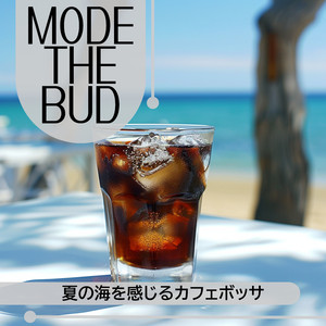 Still Water Tranquility