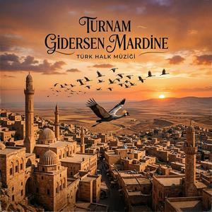 Turnam Gidersen Mardine