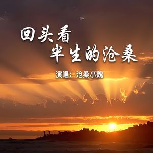 回头看半生的沧桑
