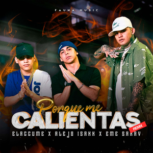 Porque me calientas (Remix)