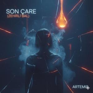 SON ÇARE(ZEHİRLİ BAL)