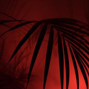 关于我不想说话的原因（Prod by veezy）