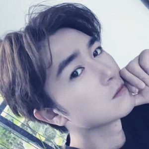 离开故乡的牛马