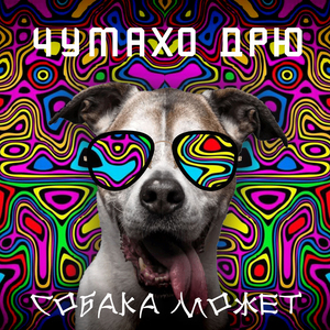 Собака может
