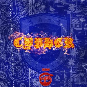 海南大学HPA2020Cypher