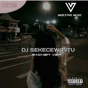 Sekecewa Itu (VZR)