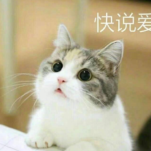 当你（翻自 王心凌）