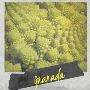 You cheated you lied