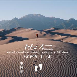 郭飞宏-旅行（王展鹏 remix）