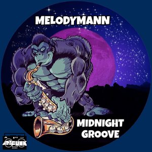 Midnight Groove
