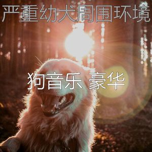 微妙的训练犬心情