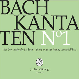 Kantate zum 4. Sonntag nach Epiphanias, BWV 81 "Jesus schläft, was soll ich hoffen?": IV. Arioso. "Ihr Kleingläubigen, warum seid ihr so furchtsam?" (Bass)