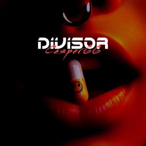 Divisor