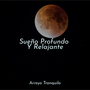 Momentos Tranquilos En El Río