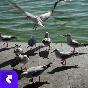 星光万点 (现场)