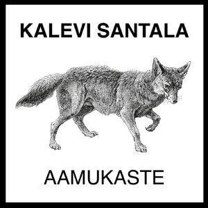 Aamukaste