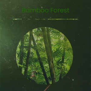 Bamboo Forest