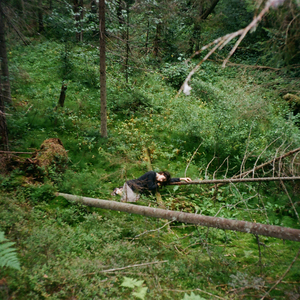 тест (синий)