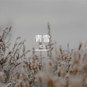 青雪