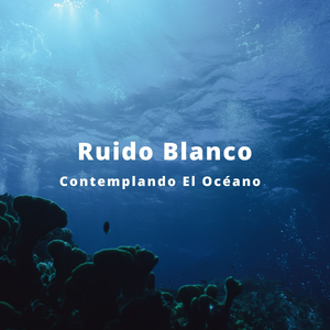 Conservación De Ondas