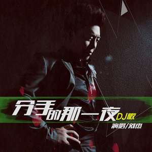 分手的那一夜 (DJ版伴奏)