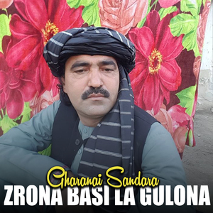 Zrona Basi La Gulona
