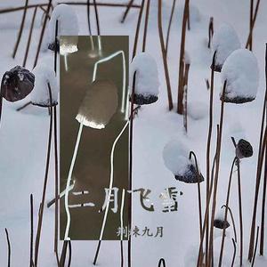 二月飞雪-钢琴