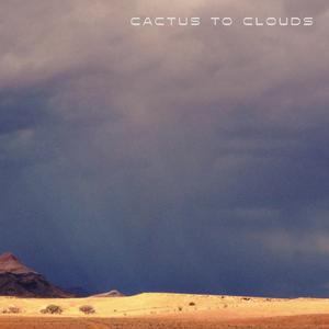 Desert Thundershower