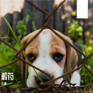 解药(Prod. by 百川)