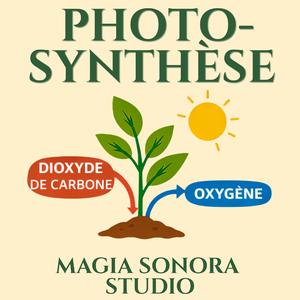 Photosynthèse