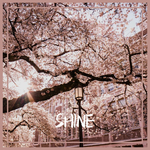 SHINE