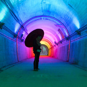 自由の身(Ｒｏ-ｌａｎｄ) (ｓｔｕｄｉｏ ｆｏｒｅｓｔ - ＲＥＭＩＸ)