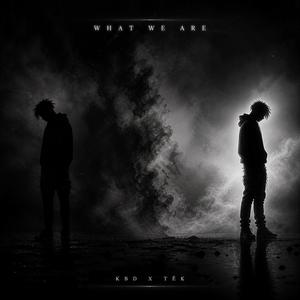 What we are?