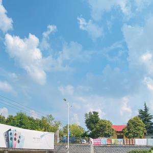 Across the wind（胡闹Live！翻自塞壬唱片-MSR/Gracie Van Brunt