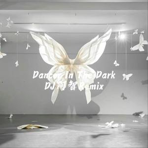 Dancer In The Dark(DJ阿智Remix)