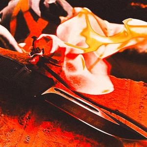 SWiTCHBLADE iN HER HEART!