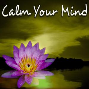 Calm Your Mind