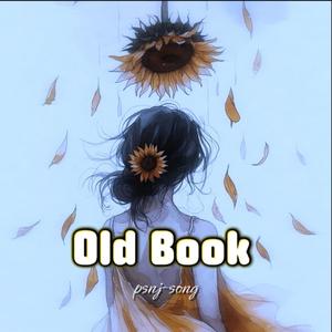 Old Book
