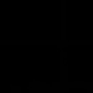 再干枯的玫瑰也曾代表爱情