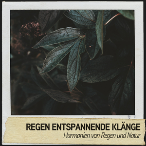 Sanfte Regenatmosphäre