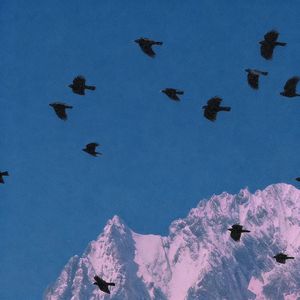 不惧岁月不惧风