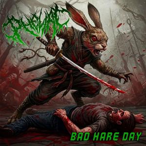 Bad Hare Day