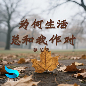 为何生活总和我作对