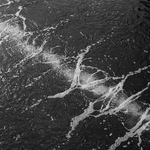 congregation (a christmas song)