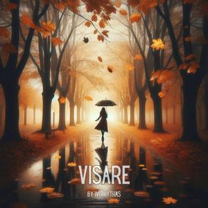 VISARE