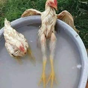 28 Gramos (nightcore)